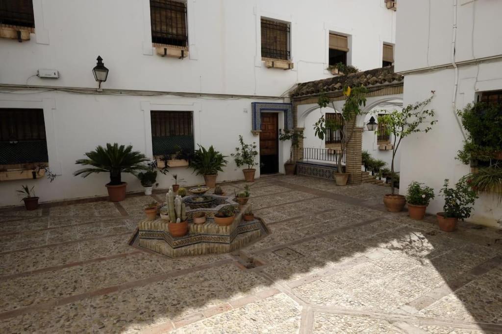 Medina Paradise Córdoba Exteriör bild